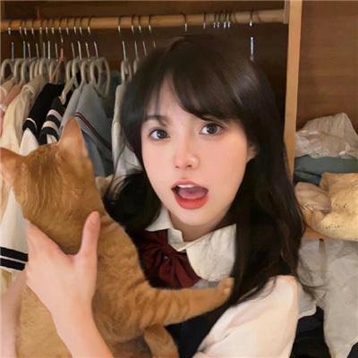 孤雏泪