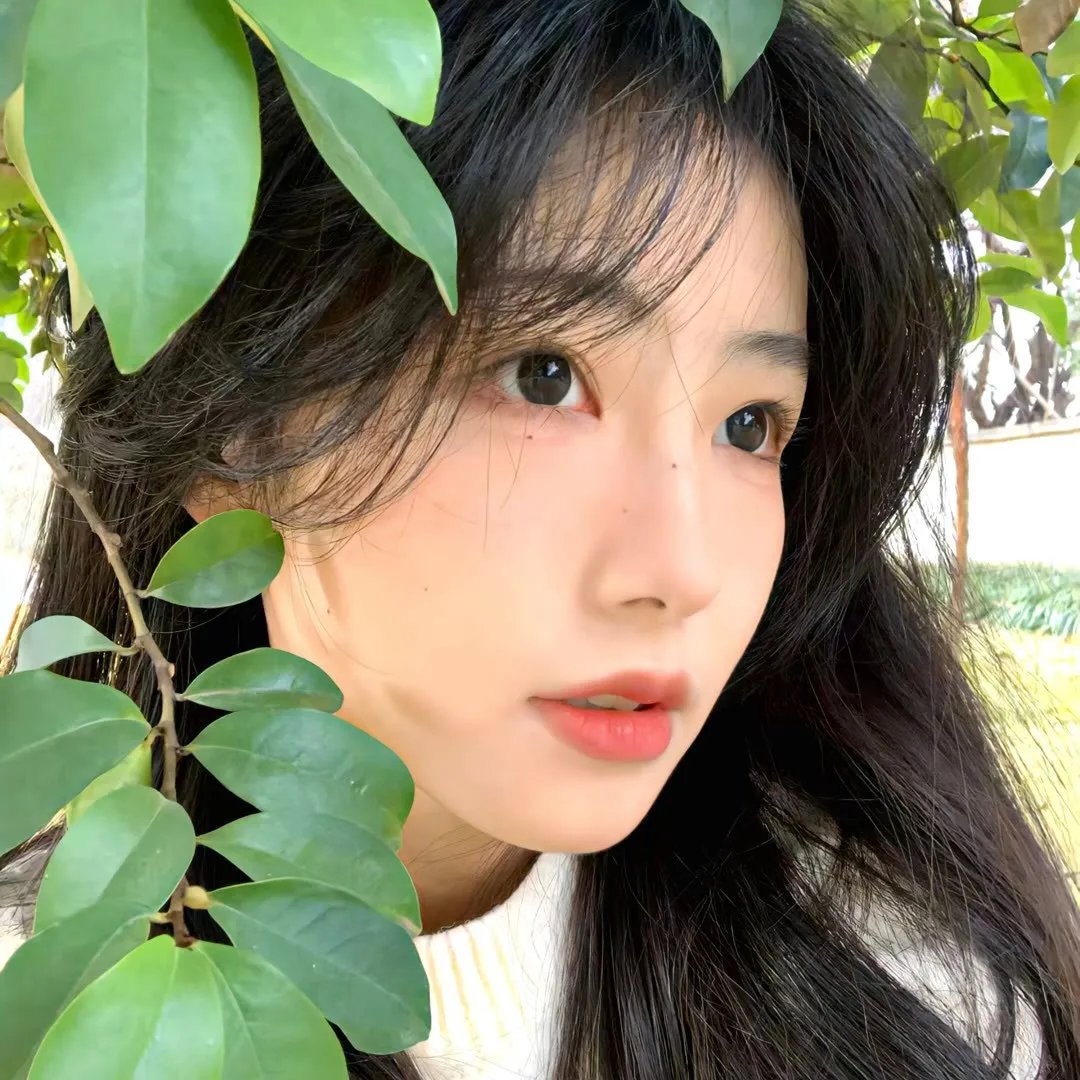 一支丁香花